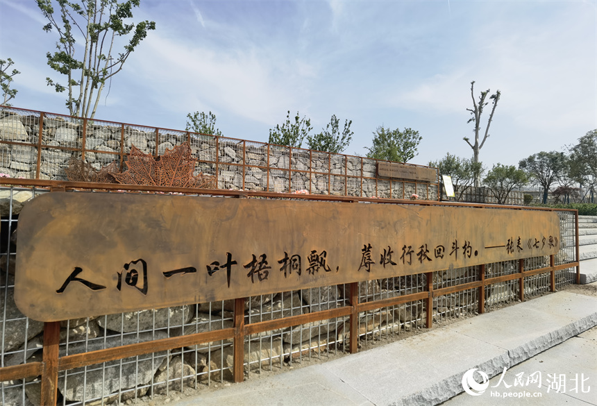 武漢:城市郊野新玩法 “梧桐雨”中享綠色生活