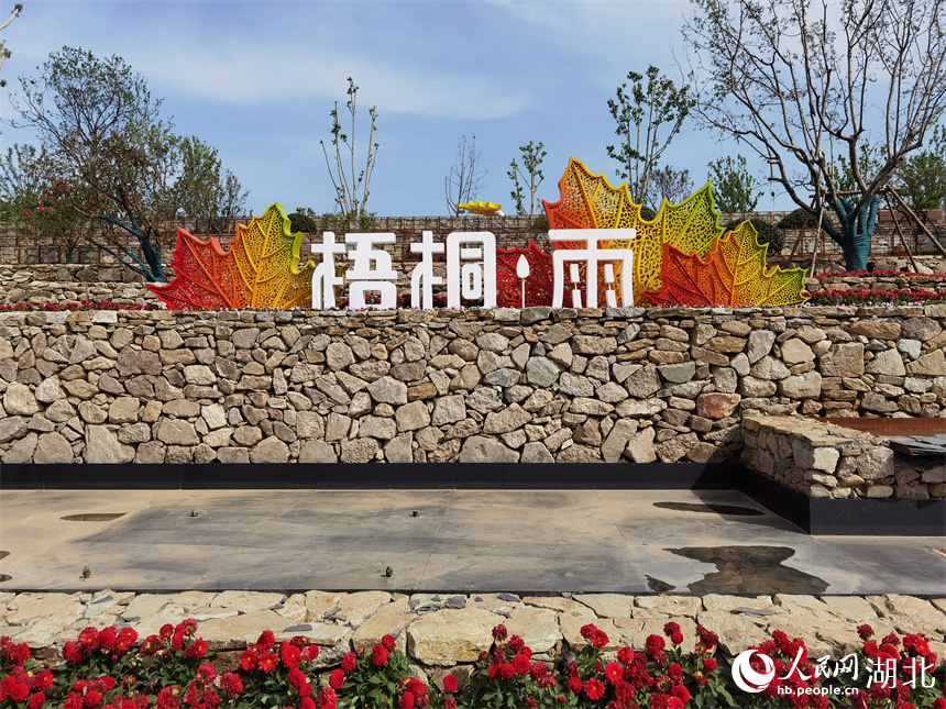 武漢:城市郊野新玩法 “梧桐雨”中享綠色生活