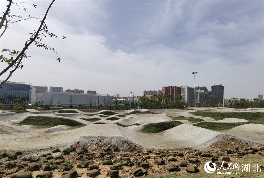 武漢:城市郊野新玩法 “梧桐雨”中享綠色生活