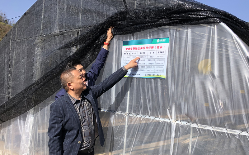 各煙葉站支部實(shí)施“一全三包”黨業(yè)融合責(zé)任制