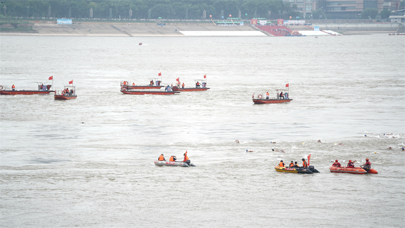 千余名“泳”者競渡長江。孫遜攝