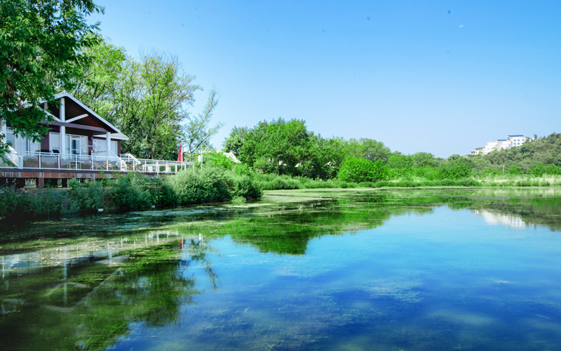 松滋市洈水景區(qū)。饒茜攝