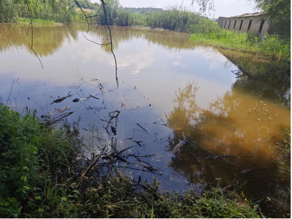 事故后廢棄的水塘。 人民網(wǎng)記者 黃鈺攝