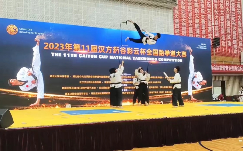 500多名青少年武漢競(jìng)技跆拳道。