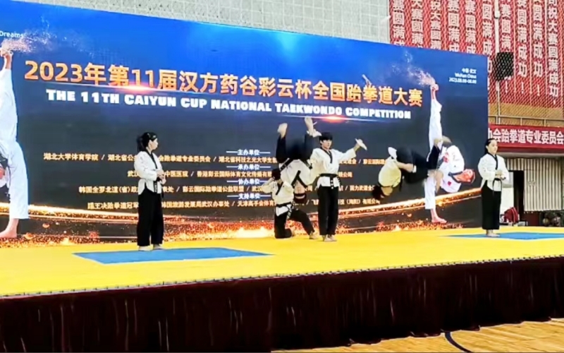 500多名青少年武漢競技跆拳道。