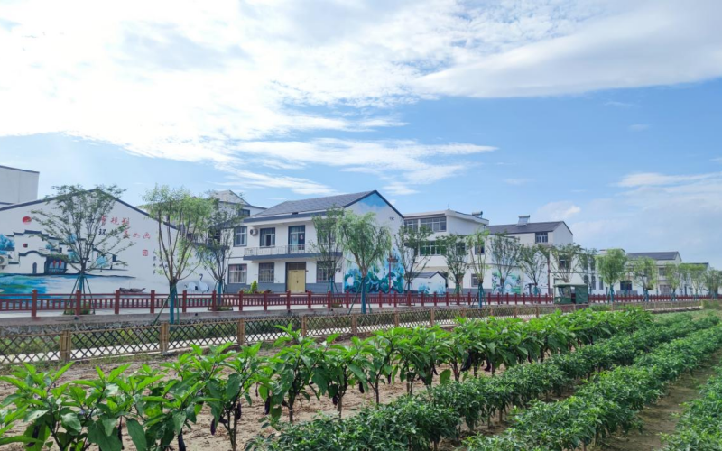 黃岡市黃梅縣小池鎮(zhèn)朱樓村。石勛攝