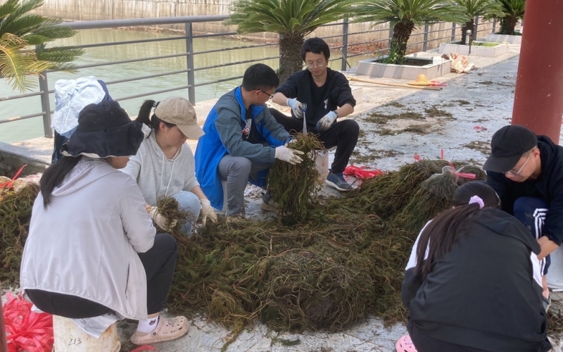 武漢大學(xué)梁子湖生態(tài)站于丹團(tuán)隊(duì)。鄂軒攝