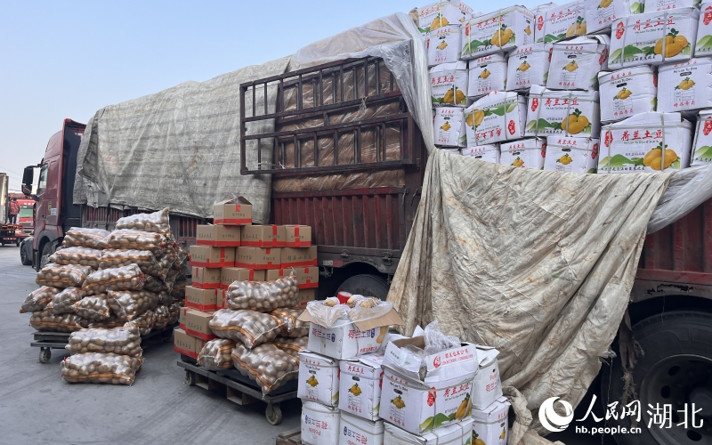 整車蔬菜整裝待發(fā)。人民網(wǎng)記者 張雋攝