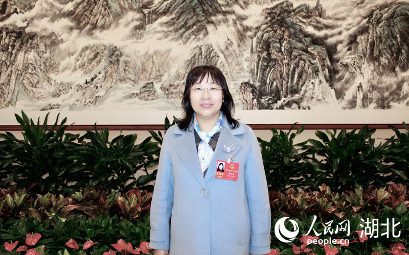 湖北省人大代表、武漢理工大學(xué)教授董麗杰。人民網(wǎng)記者 張沛攝