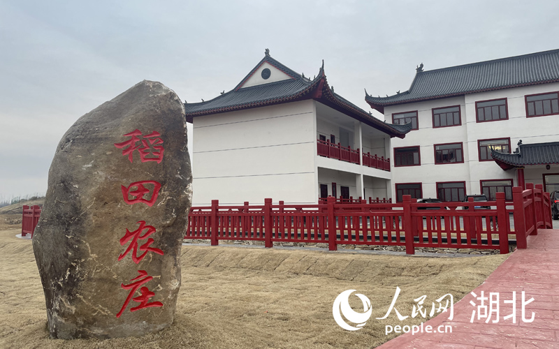 稻田農(nóng)莊。人民網(wǎng)記者 周恬攝