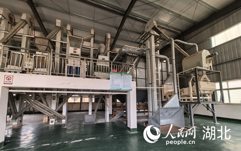 糧食加工車(chē)間。人民網(wǎng)記者 周雯攝