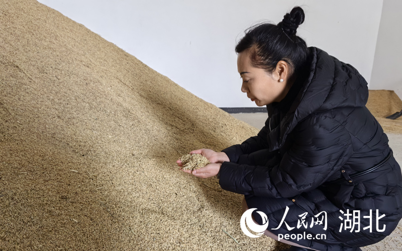 胡丹在糧庫(kù)檢查新米的儲(chǔ)存情況。人民網(wǎng)記者 周雯攝