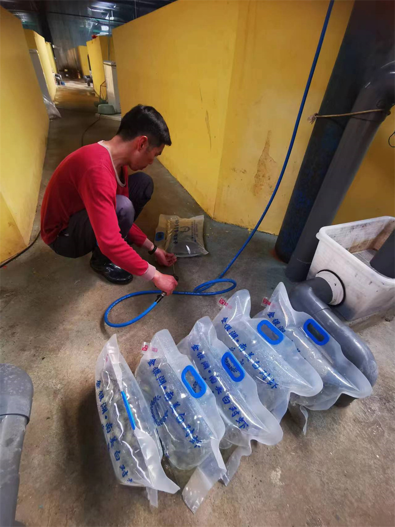 南美白對(duì)蝦保鮮包裝。武漢市東西湖區(qū)融媒體中心供圖