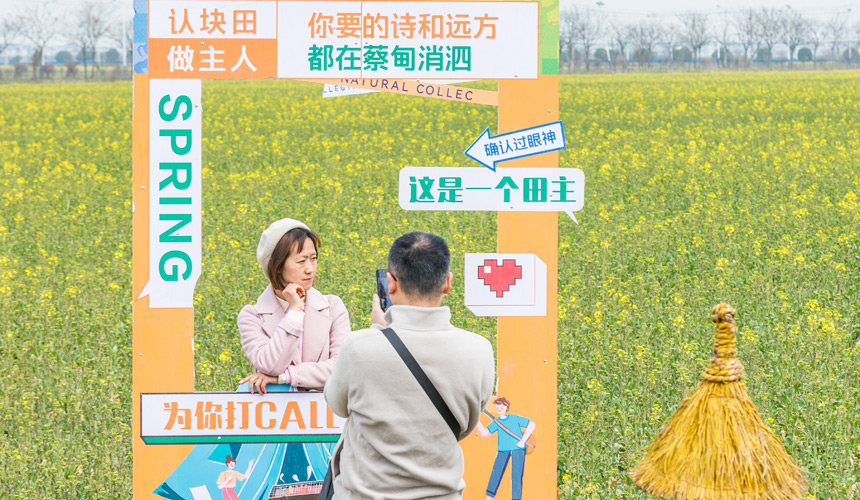 武漢蔡甸:知音故里油菜花節(jié)開幕 萬畝油菜花迎綻放【3】