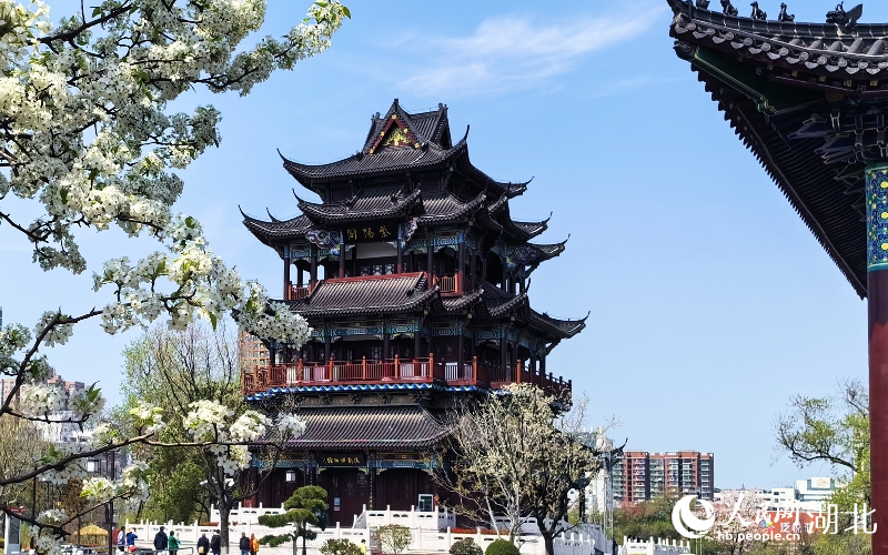 湖北武漢：花團錦簇春意濃【5】