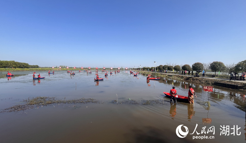 3月30日，在湖北省潛江市龍灣鎮(zhèn)瞄新村蝦稻共作基地，2024“潛江龍蝦”春捕開(kāi)始。人民網(wǎng)記者 張雋攝