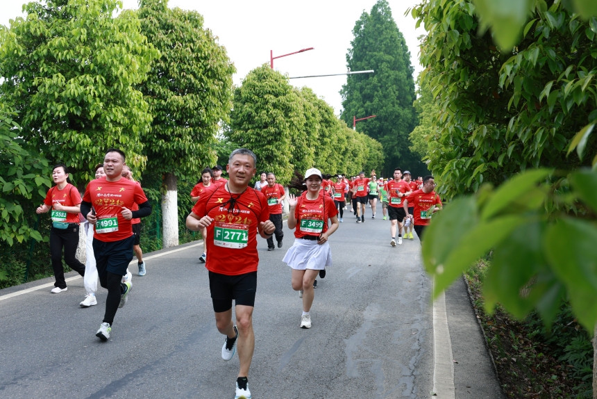 2024潛江返灣湖馬拉松鳴槍開(kāi)跑。賽事組委會(huì)供圖
