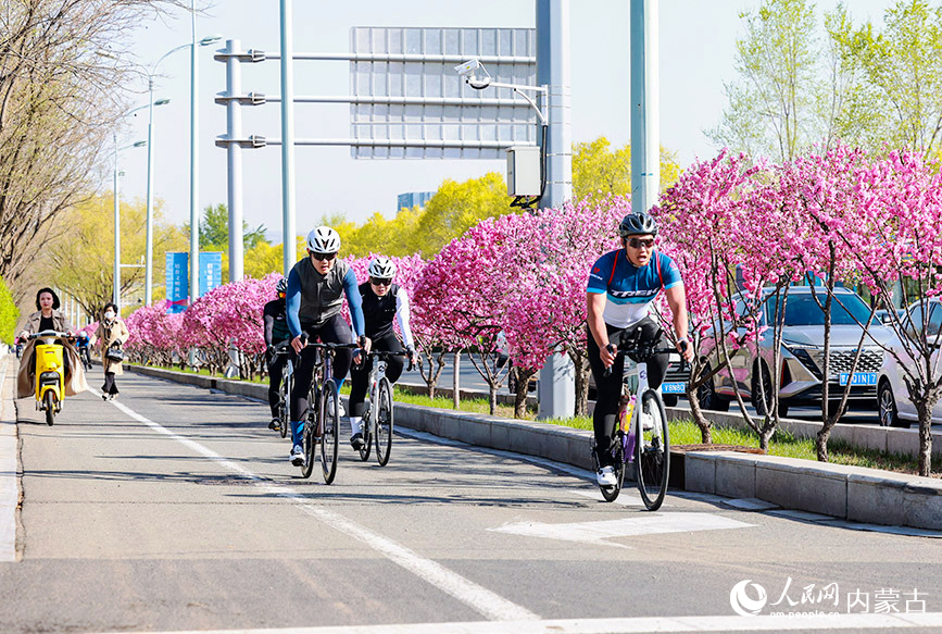 參加活動市民賞花騎行。王劭凱攝