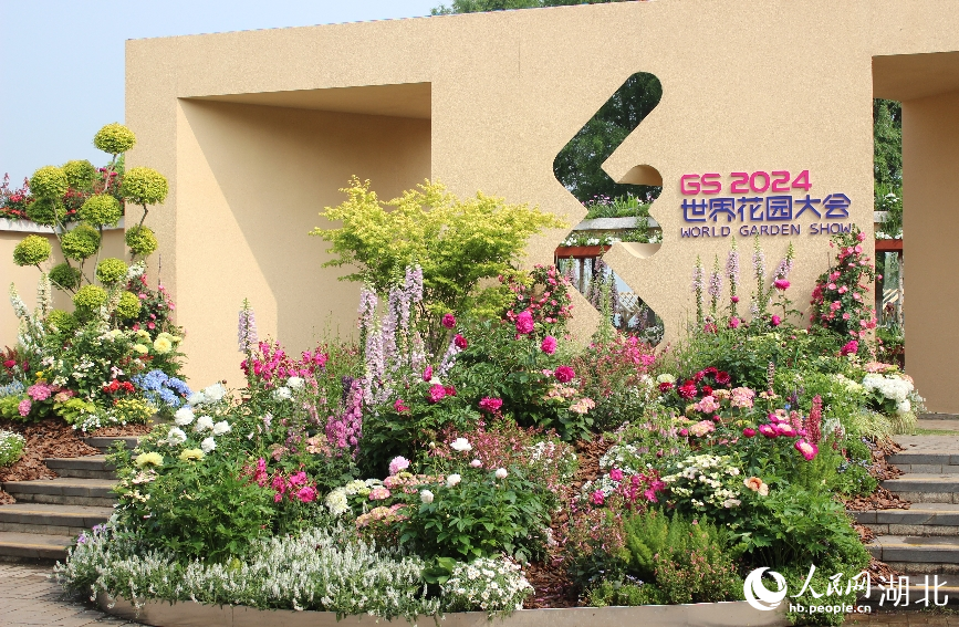 沙湖公園核心花卉主題展。人民網(wǎng)記者 張沛攝