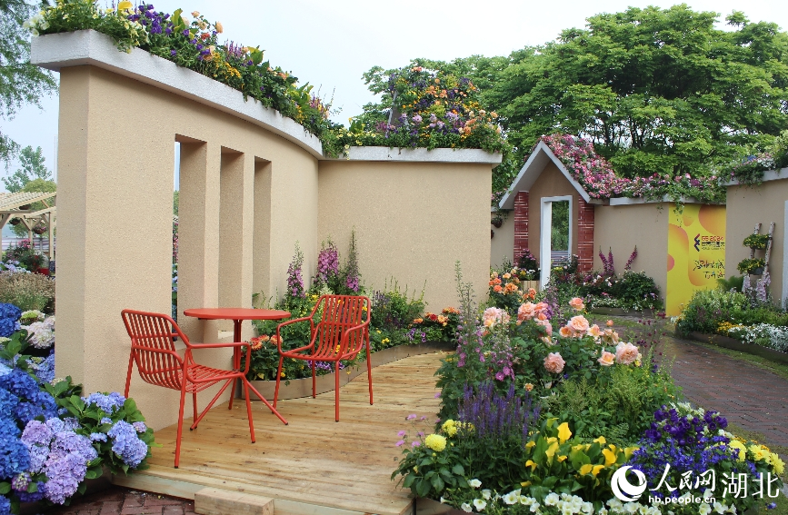 沙湖公園核心花卉主題展。人民網(wǎng)記者張沛攝