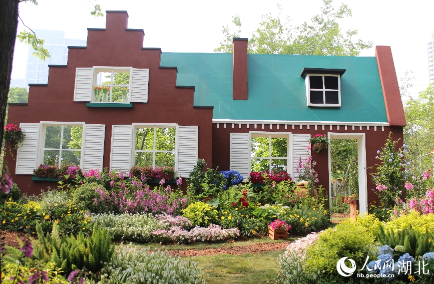 家庭園藝展區(qū)。人民網(wǎng)記者 張沛攝