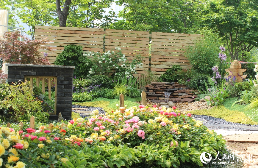 家庭園藝展區(qū)。人民網(wǎng)記者 張沛攝