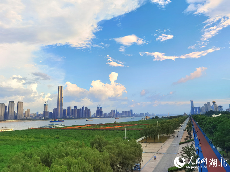 武漢長江江灘。人民網(wǎng)記者 周雯攝
