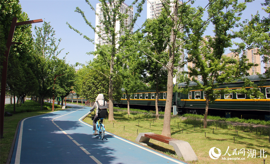 在四美塘文化公園，市民沿著車廂騎行。人民網(wǎng)記者 周恬攝