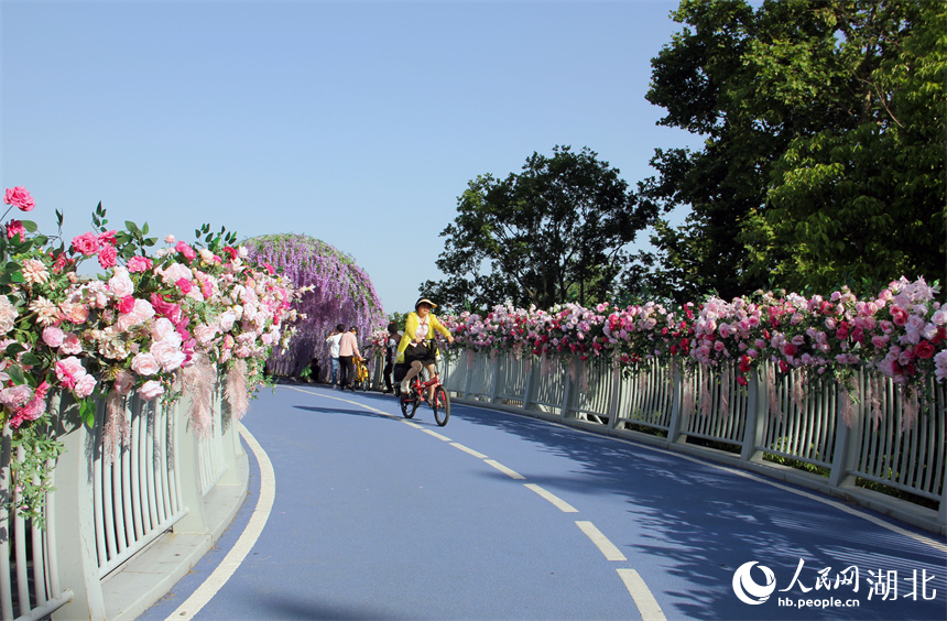 在武漢建設(shè)十路附近的紫藤花橋，市民順橋騎行而下。人民網(wǎng)記者 周恬攝