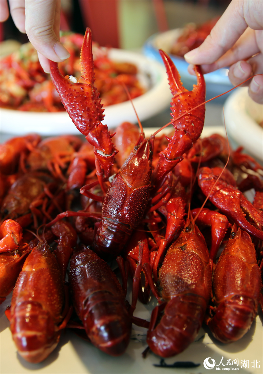 蝦尾飽滿、蝦鉗碩大的清蒸小龍蝦。人民網(wǎng)記者 周恬攝