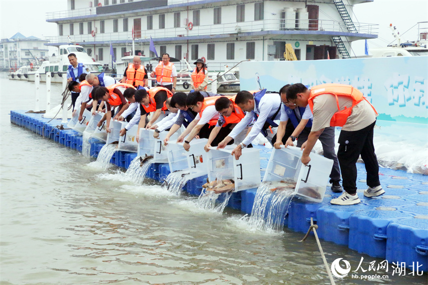 增殖放流活動現(xiàn)場。人民網(wǎng)記者 王郭驥攝