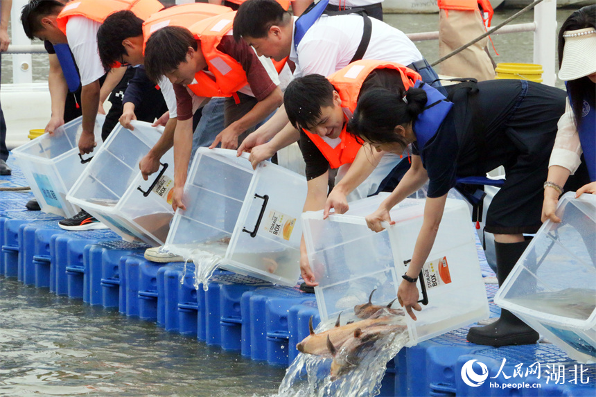 增殖放流活動現(xiàn)場。人民網(wǎng)記者 王郭驥攝