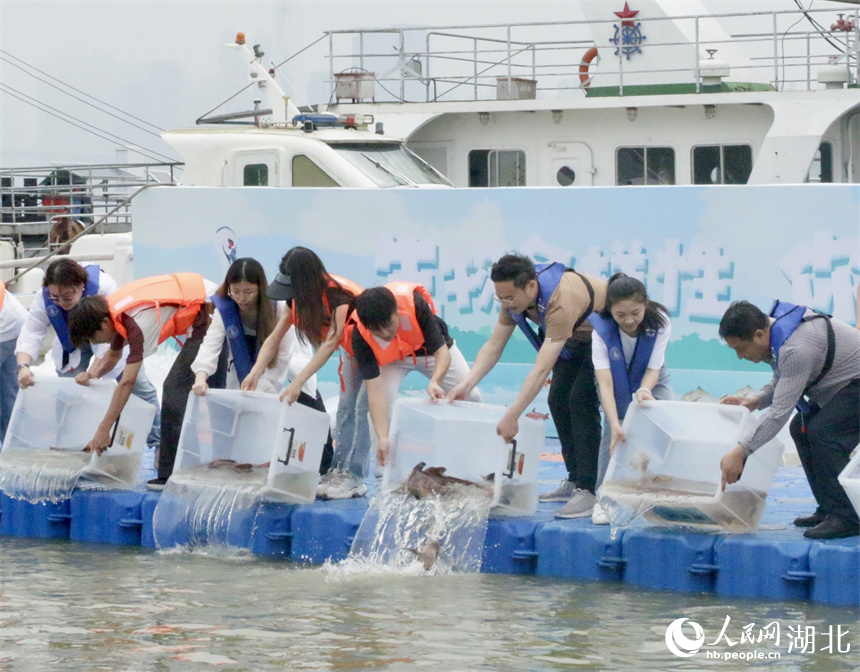 增殖放流活動(dòng)現(xiàn)場(chǎng)。人民網(wǎng)記者 王郭驥攝