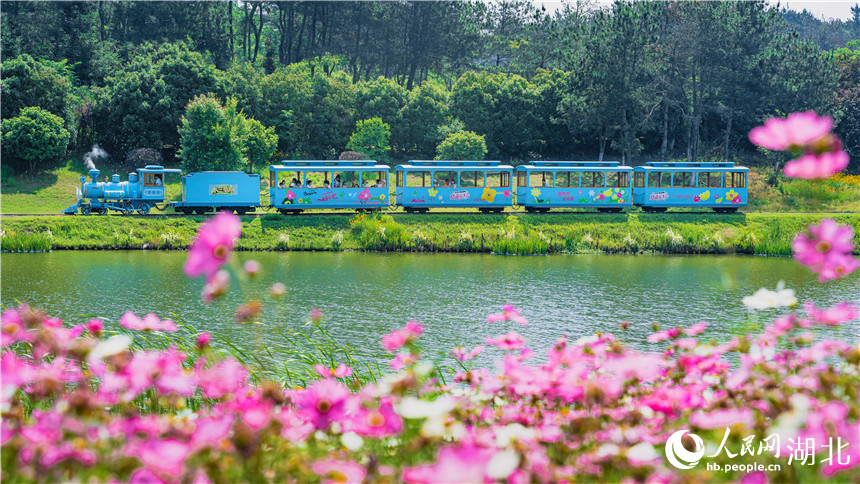 格?；ㄅ孕旭偟男』疖?。人民網(wǎng)記者 周倩文攝