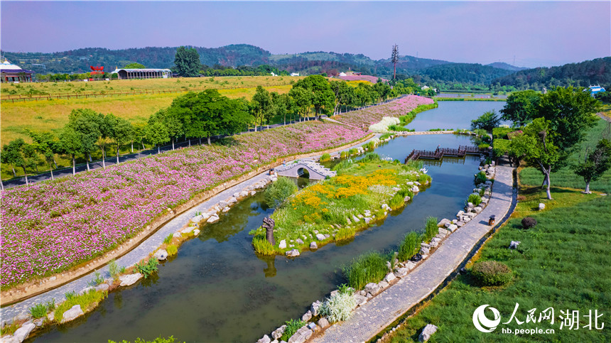 格?；ㄅc對岸的草原形成了鮮明的對比。人民網(wǎng)記者 周倩文攝