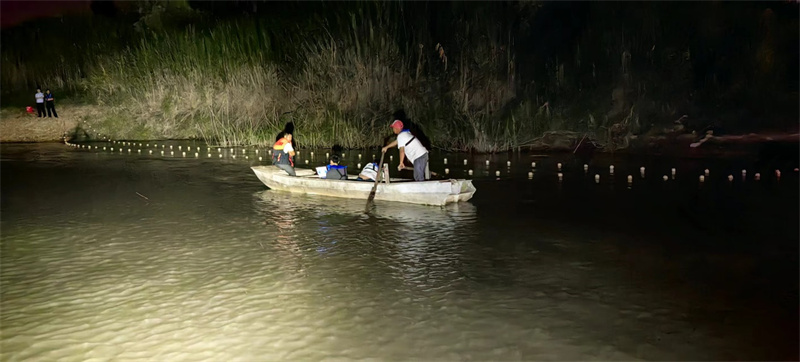 奮力抓捕鱷魚(yú)。