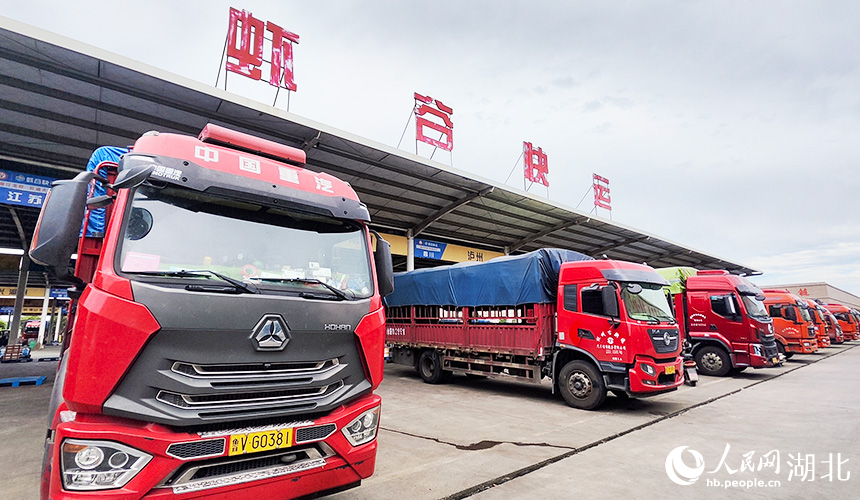 在湖北潛江小龍蝦交易中心，各地貨車整裝待發(fā)。人民網記者 王郭驥攝