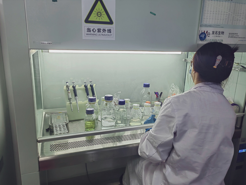 微藻生物學(xué)團(tuán)隊科研人員正在工作。張梓言攝