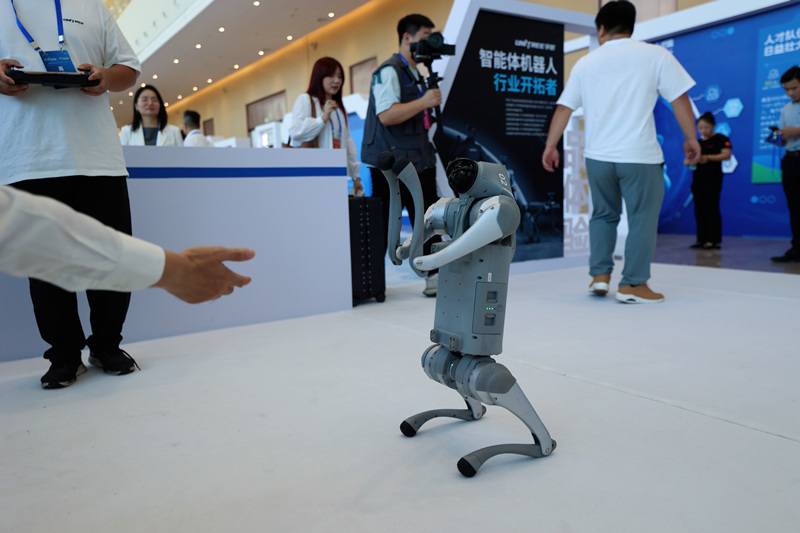 現(xiàn)場(chǎng)展示的機(jī)器人。鄂州宣傳部供圖