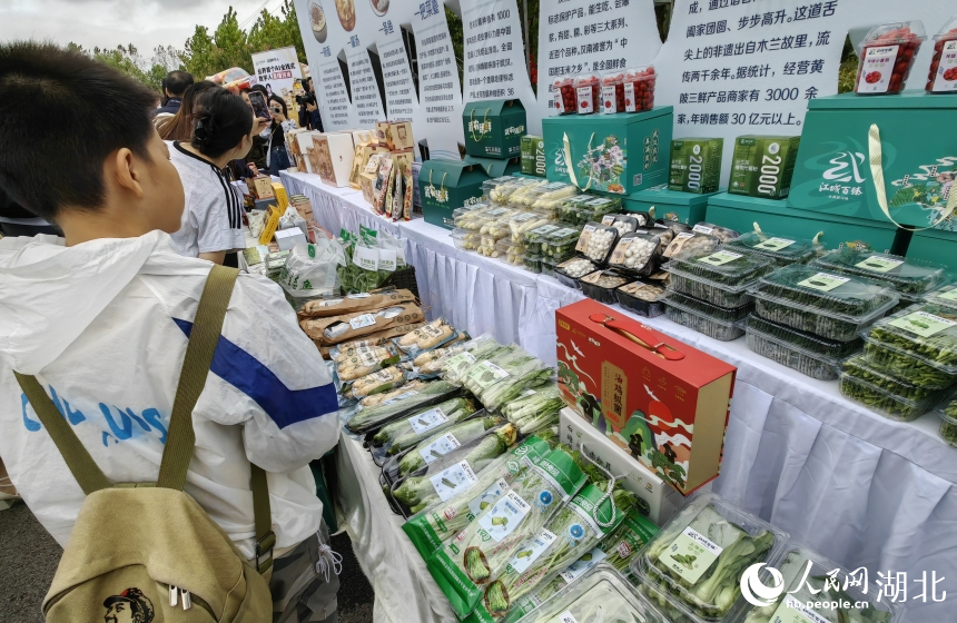  武漢市舉行中國農(nóng)民豐收節(jié)慶祝活動【8】