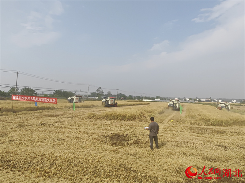 武漢市舉行水稻機(jī)收減損大比武。人民網(wǎng)記者 郭婷婷攝