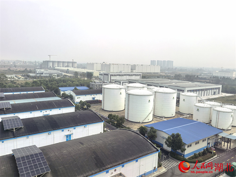 俯瞰武漢國(guó)家稻米交易中心。人民網(wǎng)記者 周雯攝