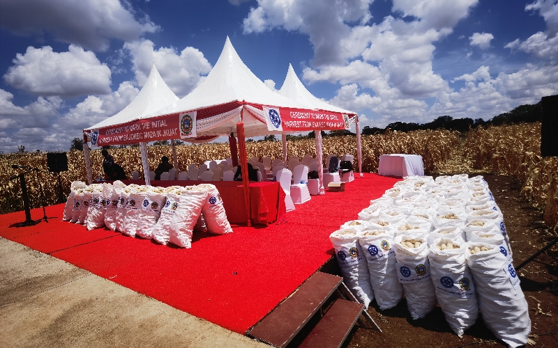 農(nóng)業(yè)示范區(qū)玉米豐收儀式現(xiàn)場(chǎng)。中-非中心供圖