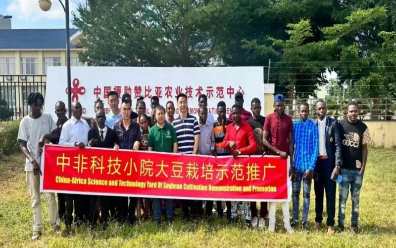 中國(guó)援助贊比亞農(nóng)業(yè)技術(shù)示范中心。湖北省科技廳供圖