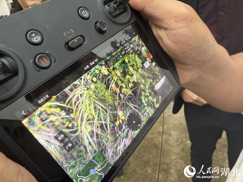 護秋隊利用無人機尋找野豬蹤跡。人民網(wǎng)記者 張沛攝