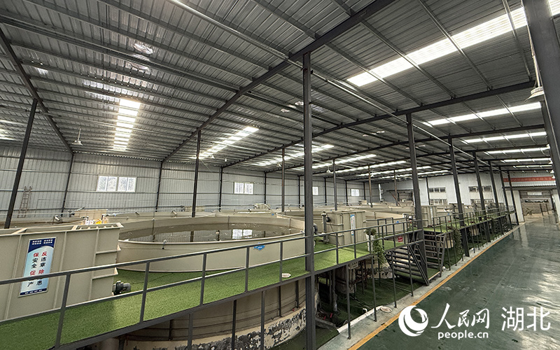 奔富漁業(yè)基地。人民網(wǎng)記者 張雋攝