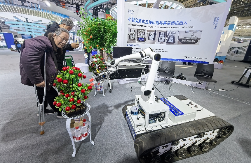 山地林果采摘機器人被圍觀。