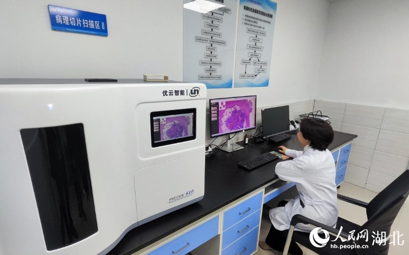 咸安區(qū)數(shù)智化病理診斷中心。人民網(wǎng)記者 王郭驥攝