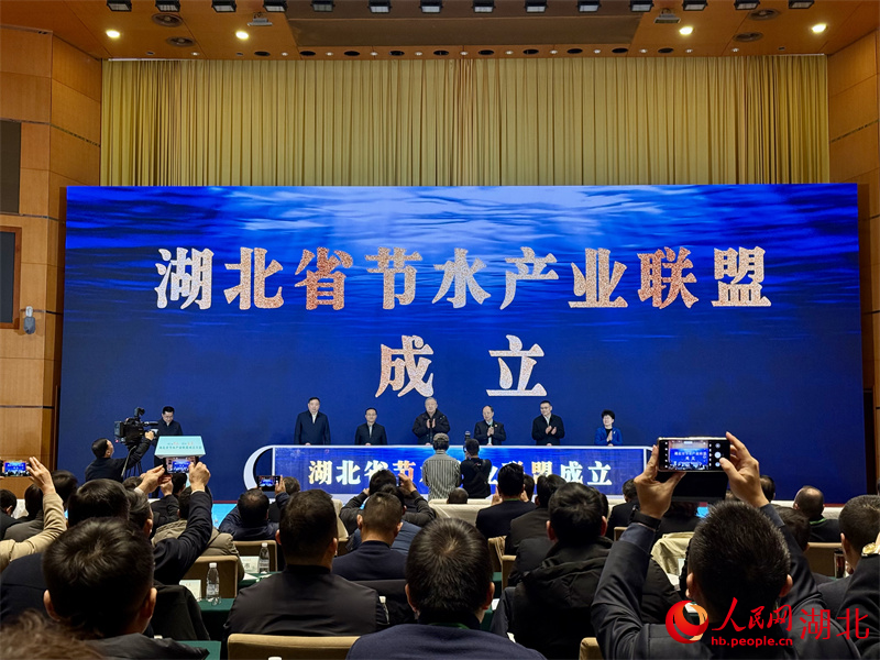 大會現(xiàn)場。人民網(wǎng)記者 張沛攝