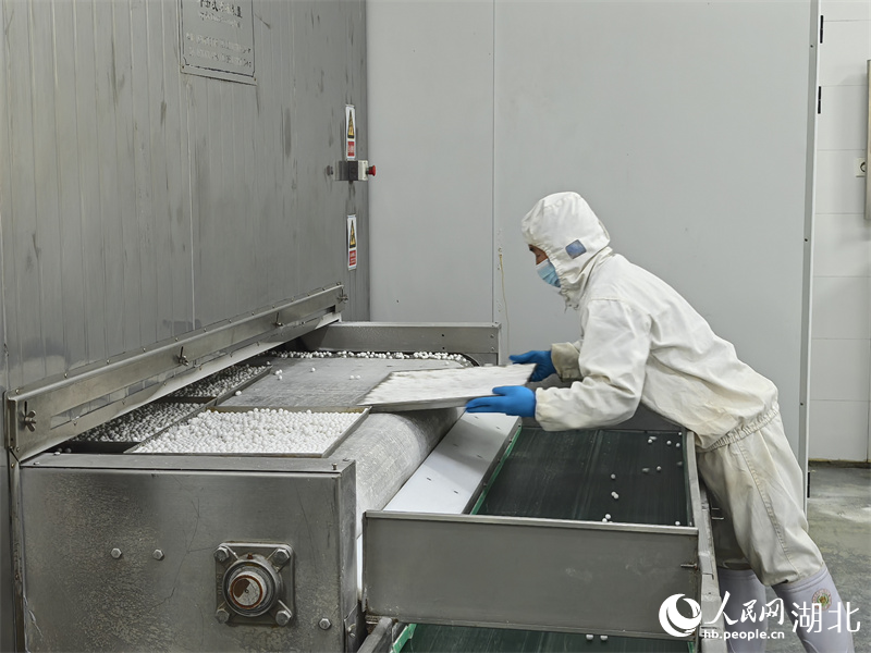 生產車間。人民網記者 周雯